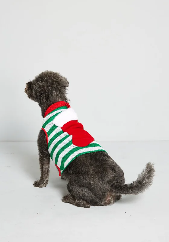 Fill My Stocking Pet Sweater